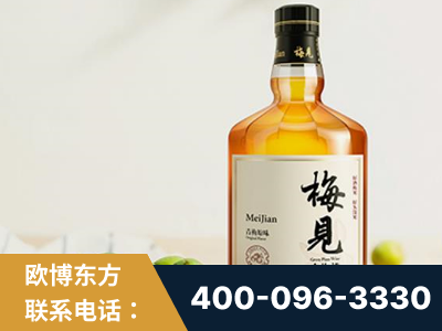 瓦房店-梅见青梅酒